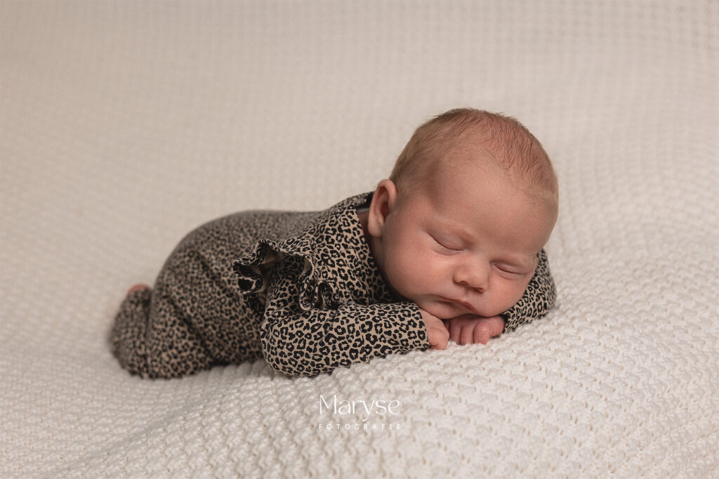 Newbornshoot bij Maryse Fotografie